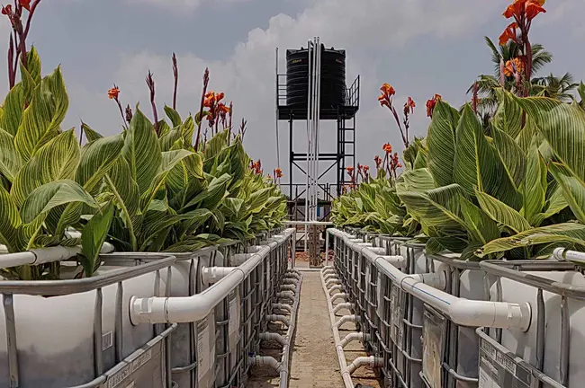 Sewage Treatment Plant : 污水处理厂