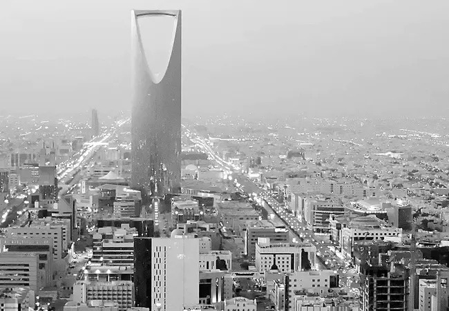 Saudi Economic and Development Company : 沙特经济发展公司