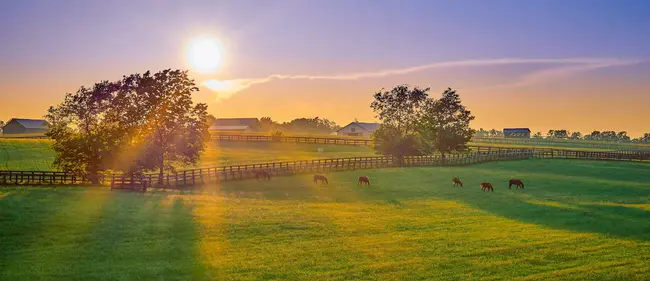 Kentucky Natural Lands Trust : 肯塔基州自然土地信托基金