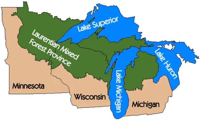 Great Lakes Observing System : 大湖观测系统