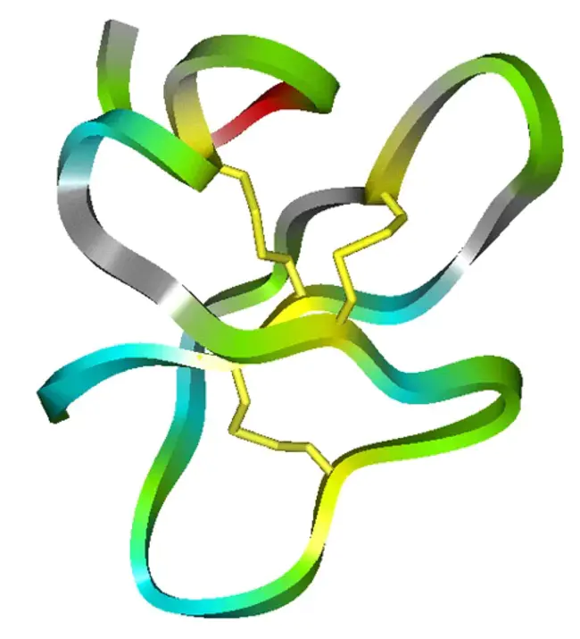 Cationic Antimicrobial Peptide : 阳离子抗菌肽