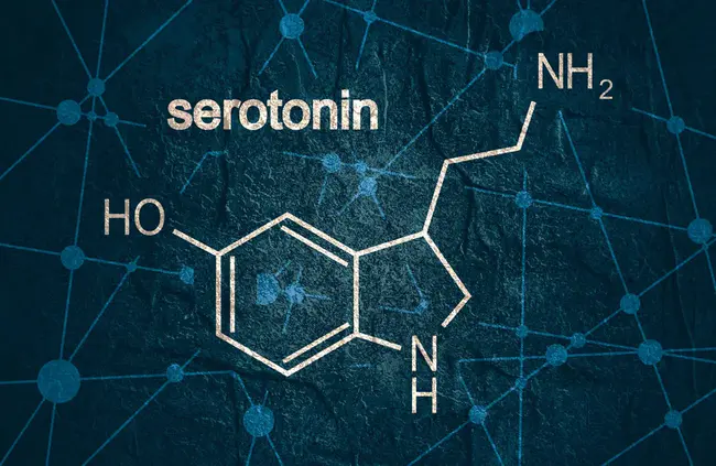 SERotonin Transporter : 血清素转运蛋白