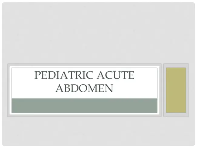 Acute Abdominal Problems : 急性腹部问题