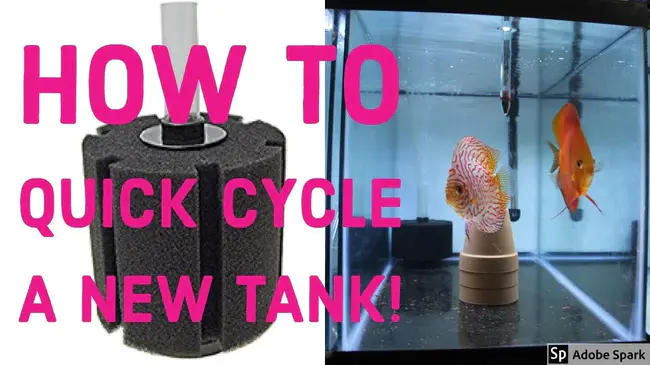 Cycle Tank Repair Kit : 循环油箱修理包