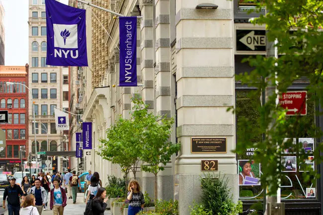 NYU Steinhardt : 纽约大学史丹赫学院