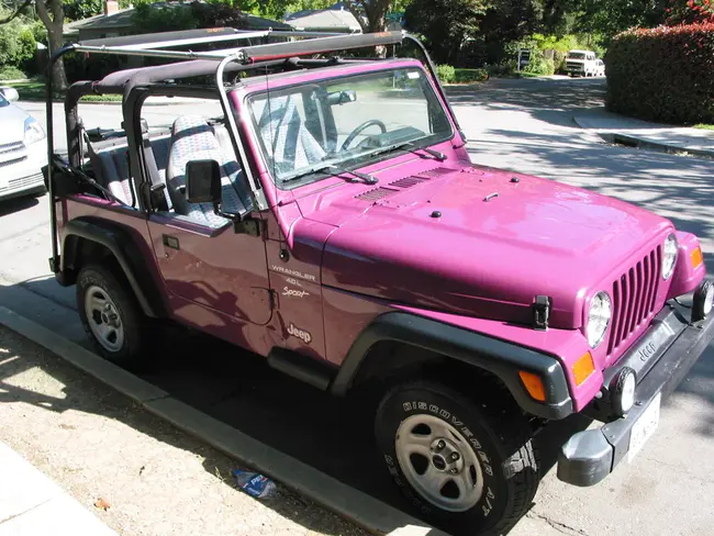 Pink Jeep Tours : 粉红吉普车游览