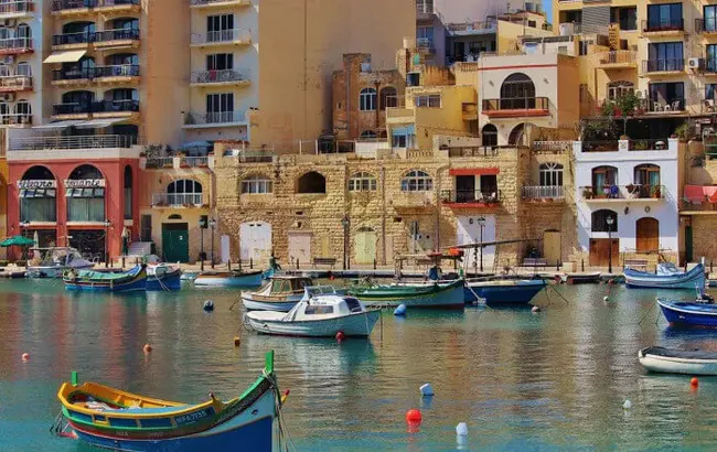 Malta Institute of Accountants : 马耳他会计师协会
