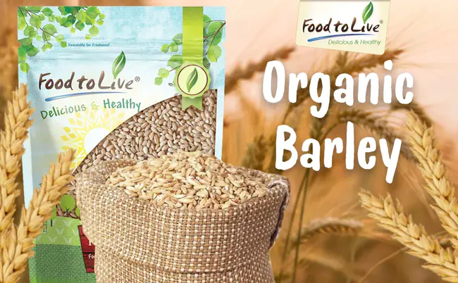 Barley Protein Meal : 大麦蛋白粉