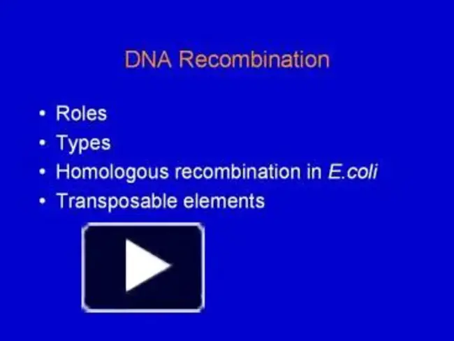 Ancestral Recombination Graph : 祖先重组图