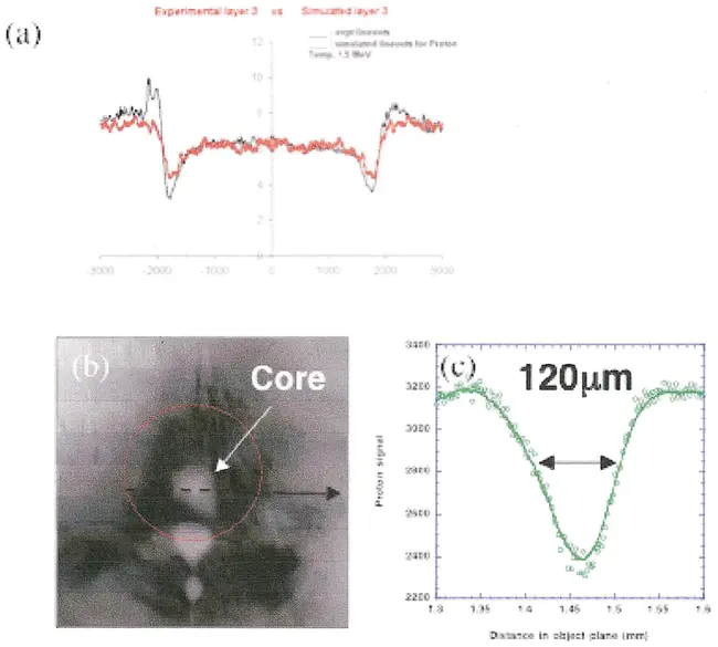 Proton Magnetic Resonance : 质子磁共振