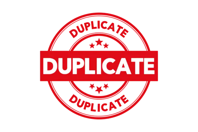 Duplicate : 复制品