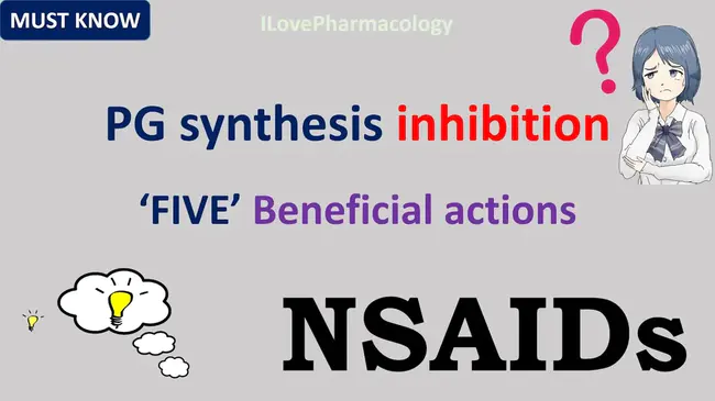 Prostaglandin Synthetase Inhibitor : 前列腺素合成酶抑制剂