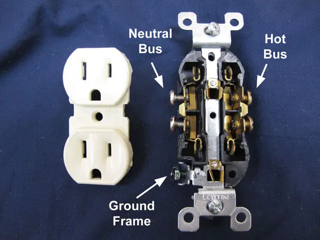 Receptacle : 容器