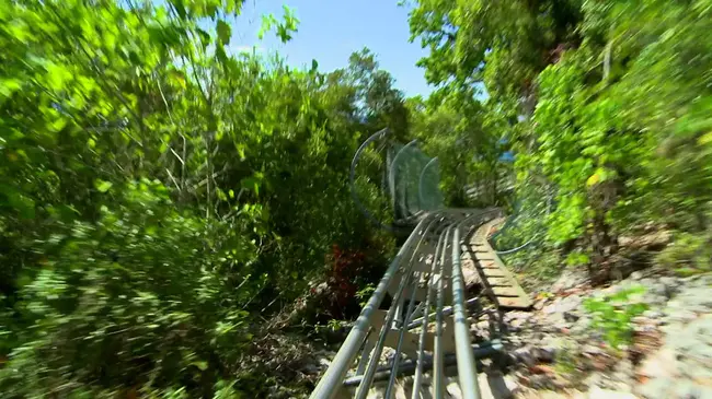 Suspended Looping Coaster : 雪山飞龙