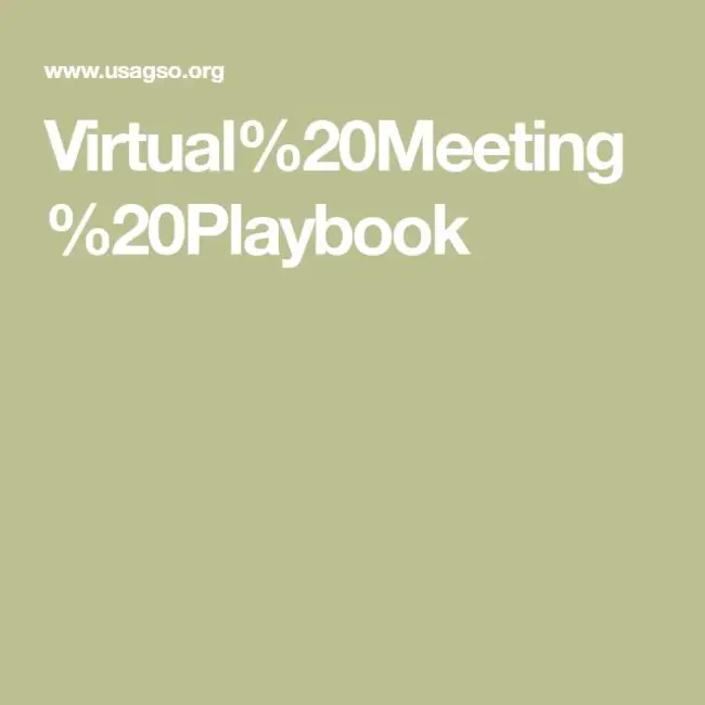 Virtual Meeting : 虚拟会议