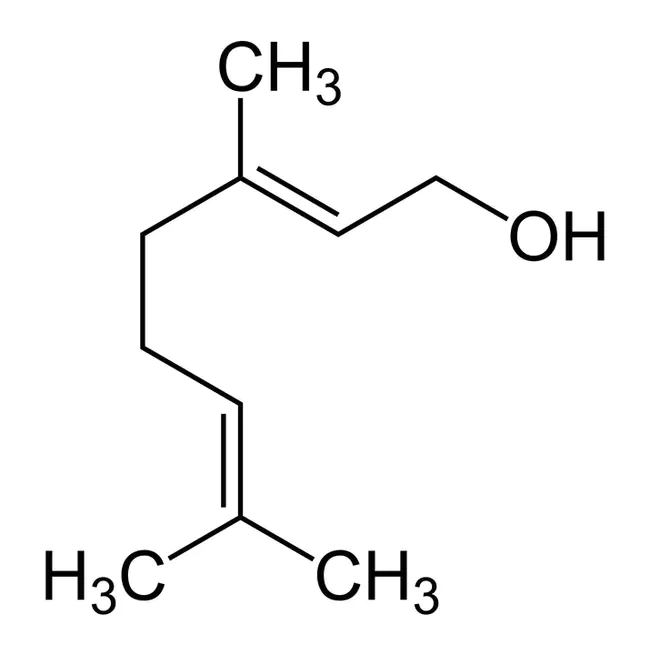 Alpha Sigma Kappa : α-西格玛-卡帕