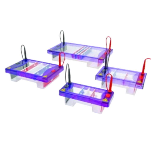 Continuous Flow Electrophoresis System : 连续流电泳系统