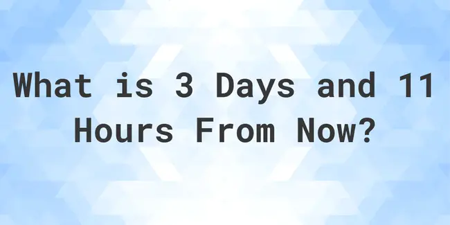 Day/Hour:Minute:Second : 天/小时：分钟：秒