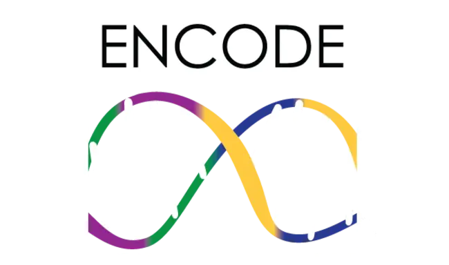 ENCode : 编码
