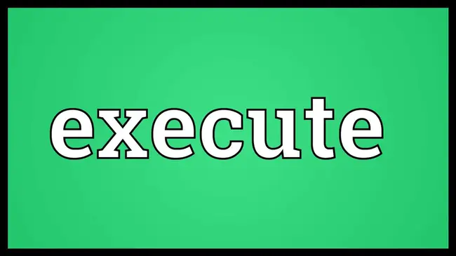 EXECute : 执行