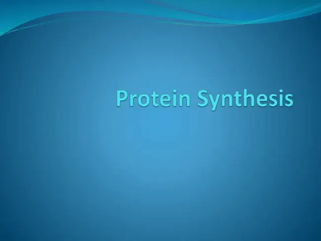 Integrated Synthesis Environment : 综合综合环境