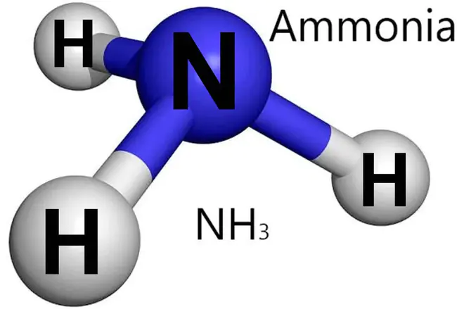 Ammonia : 氨