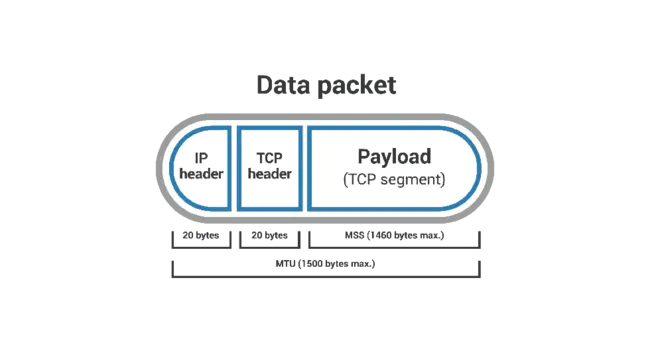 PAYload DATa : 有效载荷数据