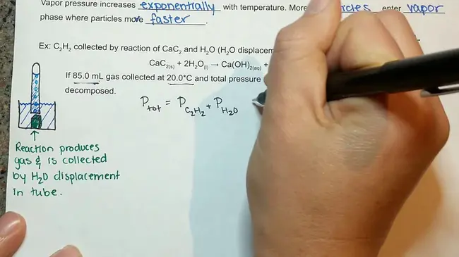 Partial Pressure : 分压