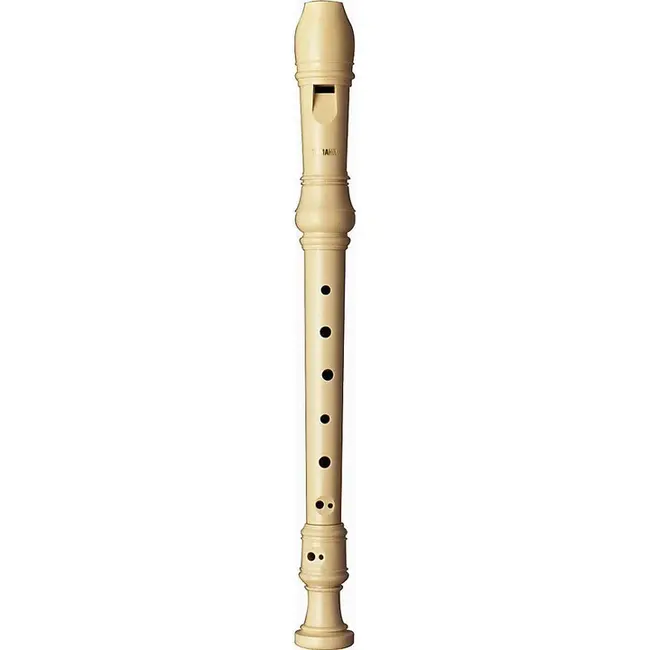 ReCorDeR : 记录仪