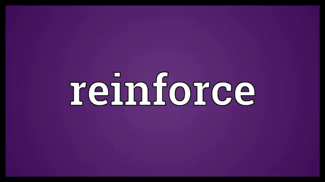 Reinforce : 加固