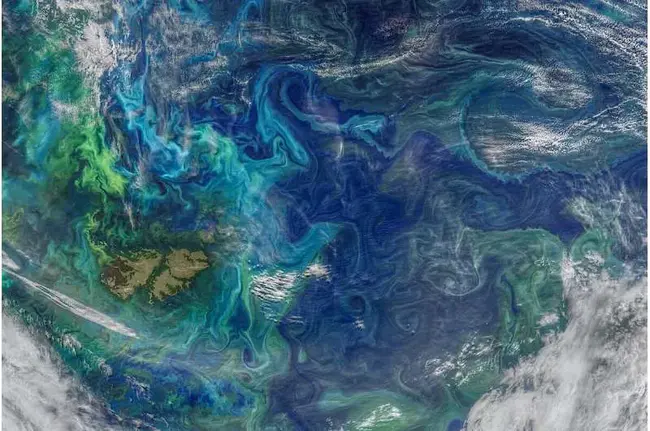 South Atlantic Anomaly : 南大西洋异常区