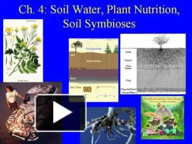 Solid Amine Water Desorbed : 固体胺水解吸