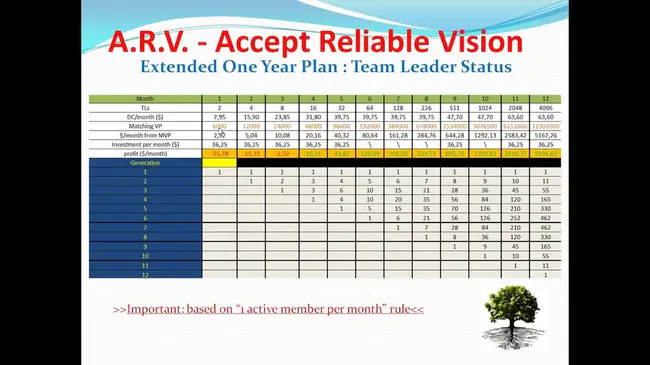 STS Planning and Operations Management : STS规划与运营管理