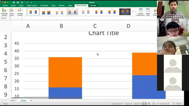 Summary Sheet Bar Chart : 汇总表条形图