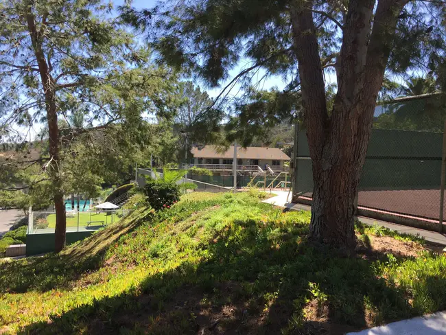 San Diego Golf Academy : 圣地亚哥高尔夫学院