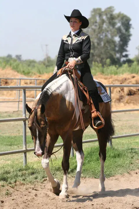 American Junior Paint Horse Association : 美国少年彩马协会