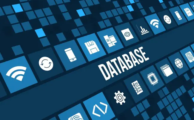 Data Base Management System : 数据库管理系统