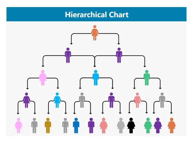 Hierarchical Structured Diagram : 层次结构图