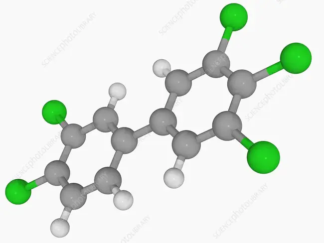 Poly-Chlorinated Biphenyl : 聚氯化联苯