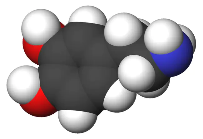 Bundesinstitut Fur Arzneimittel und Medizinprodukte (German Ministry of Health) : 联邦药品和医疗器械研究所（德国卫生部）