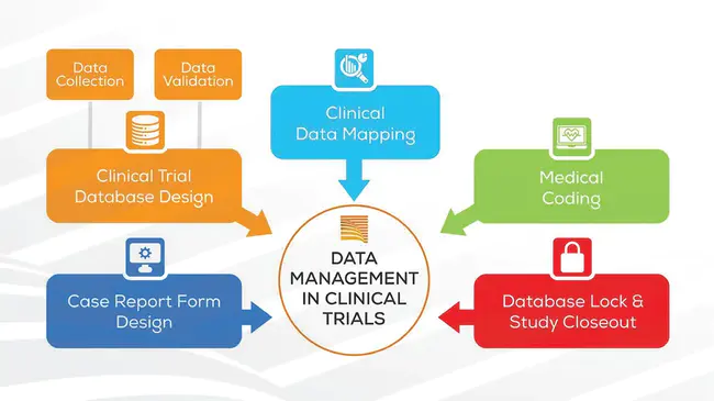 Clinical Data Management : 临床数据管理
