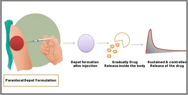 Parenteral Drug Association : 肠外药物协会