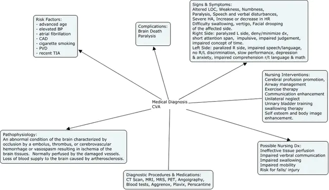 CerebroVascular Accident : 脑血管意外