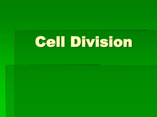 Division of Cell and Gene Therapies (CBER) : 细胞和基因治疗司