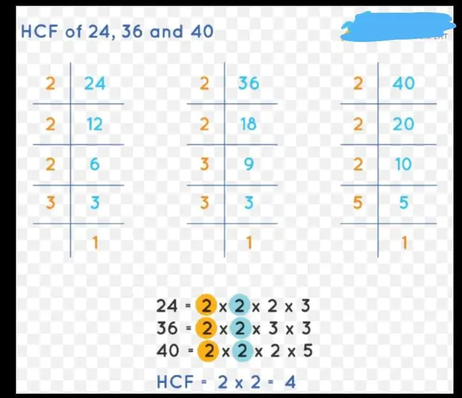 Division of Toxicology (CFSAN) : 毒理学司