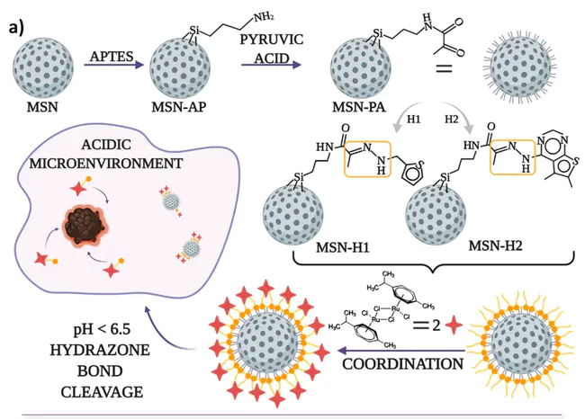 Molecular Virology Team : 分子病毒学组