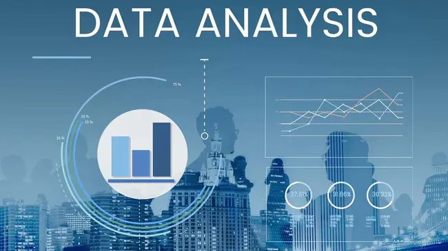 Data Information Management Staff : 数据信息管理人员