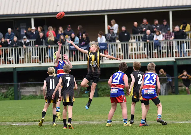 Upwey-Tecoma Australian Rules Football Club : 奥维特科马澳大利亚规则足球俱乐部