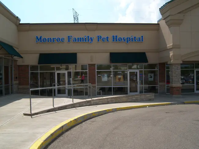 Monroe Family Pet Hospital : 门罗家庭宠物医院