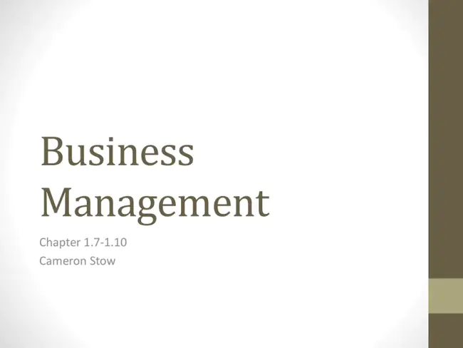 Business Management Consultants : 企业管理顾问